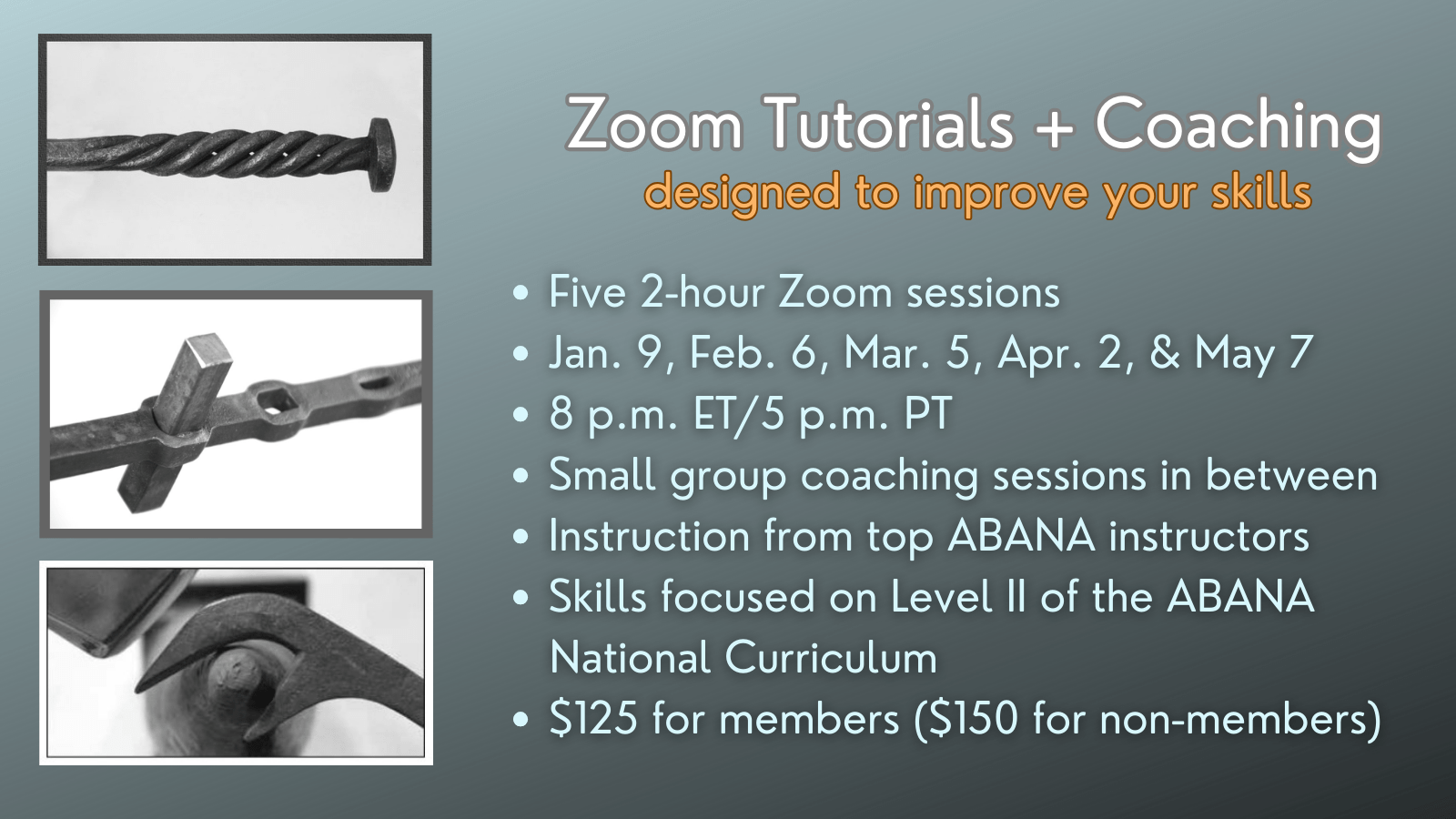 Website Level II Zoom Sessions 2024